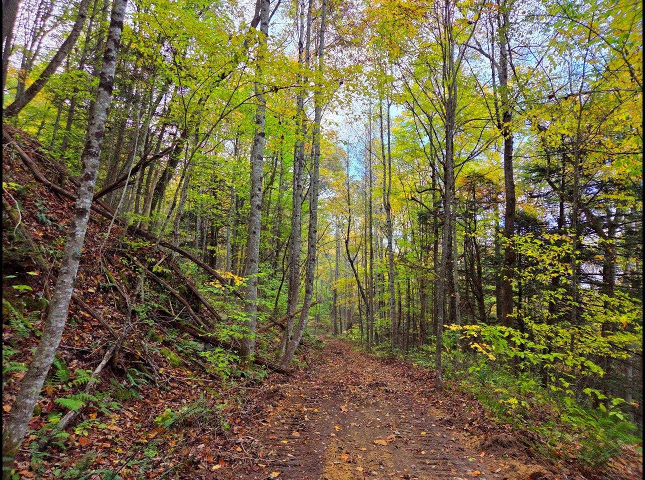 Tract 7 --20251015_165119