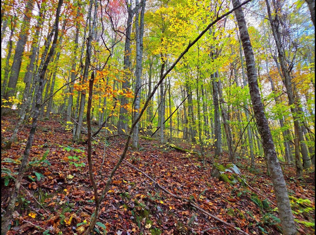 Tract 7 --20251015_165351