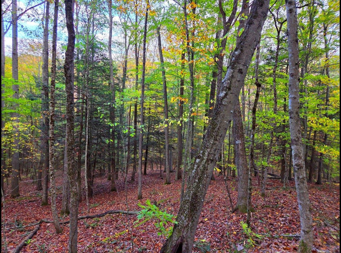 Tract 7 --20251015_165412