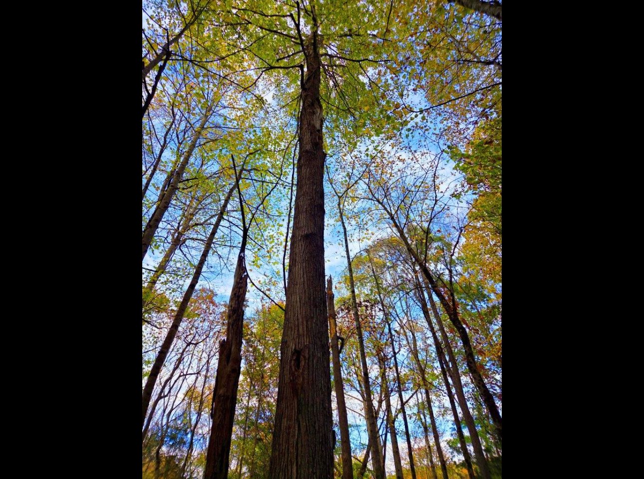 Tract 7 --20251015_165419