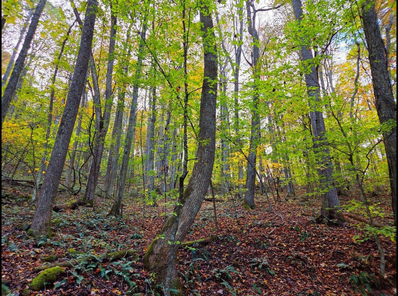 Tract 7 --20251015_165523