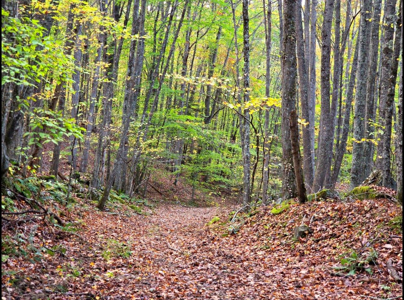 Tract 7 --20251015_165651