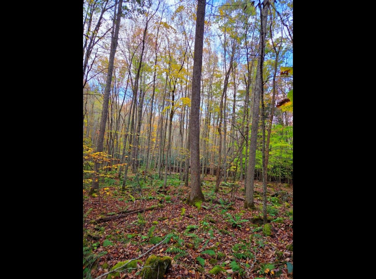 Tract 7 --20251015_170110