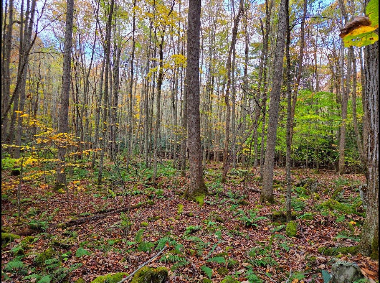 Tract 7 --20251015_170114