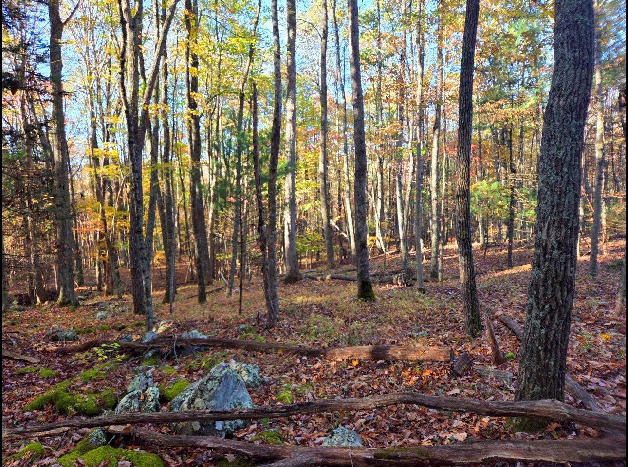 Tract 7 --20251016_091507