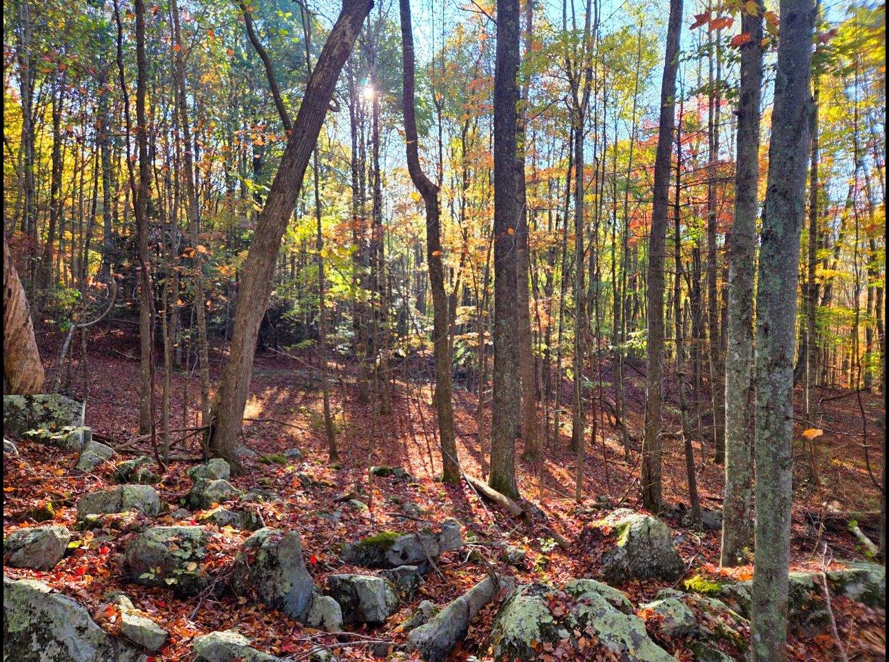 Tract 7 --20251016_091538