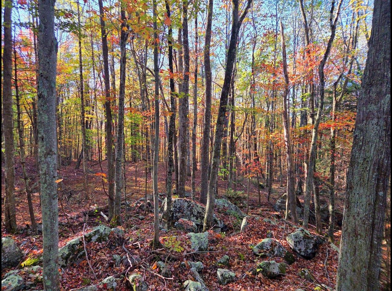 Tract 7 --20251016_091540