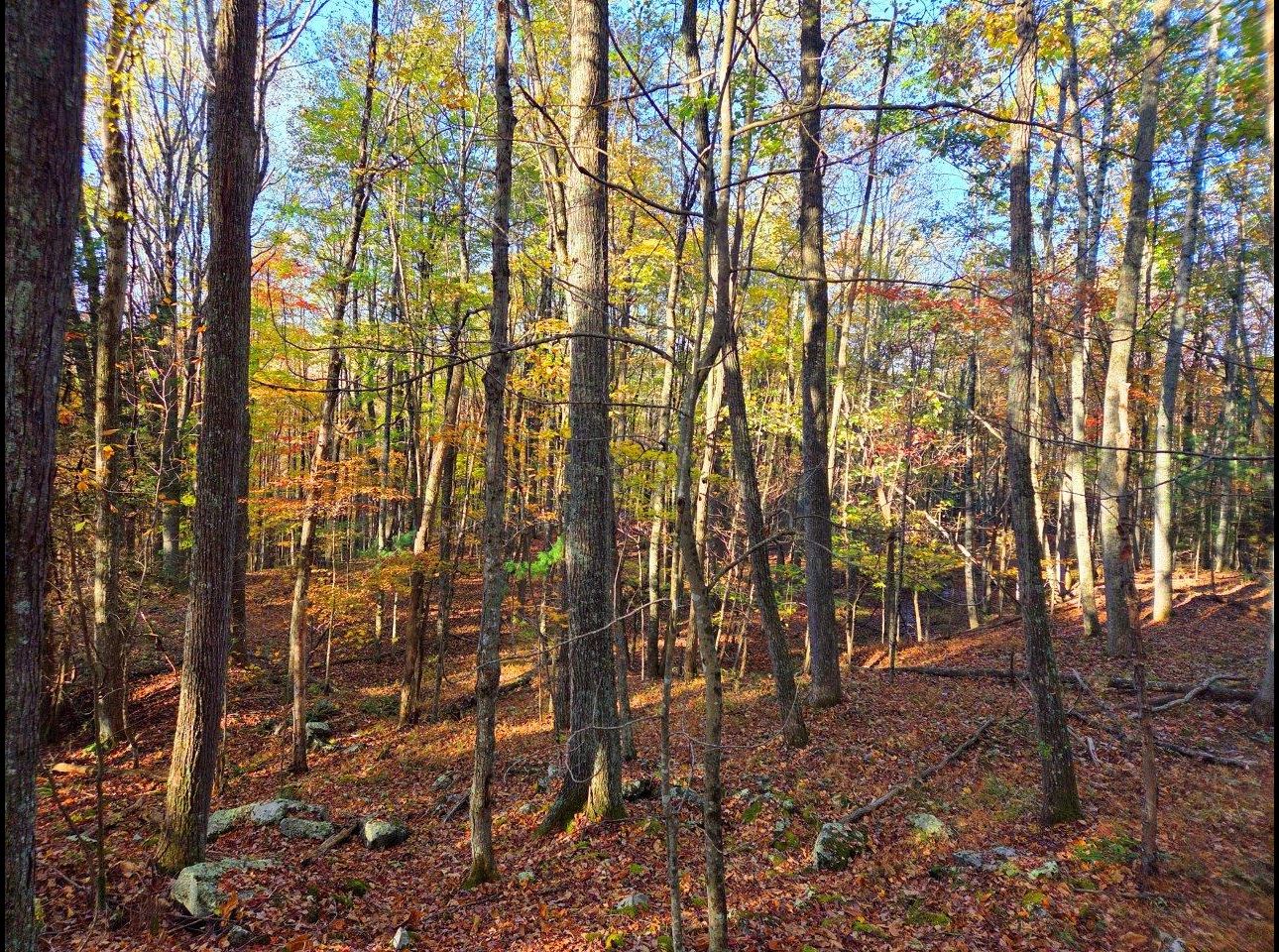 Tract 7 --20251016_091545