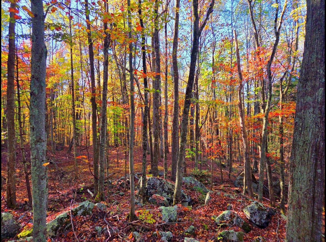 Tract 7 --20251016_091552