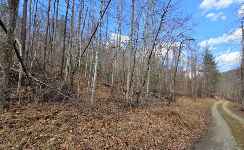 For Sale: 23.5± Wooded Acres – Minutes From Roanoke, VA