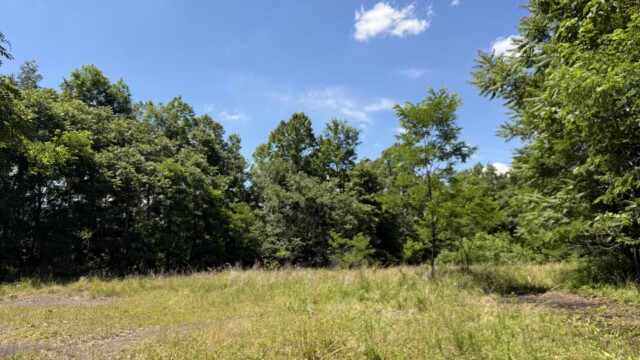Recreational Tract