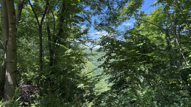 Recreational Tract