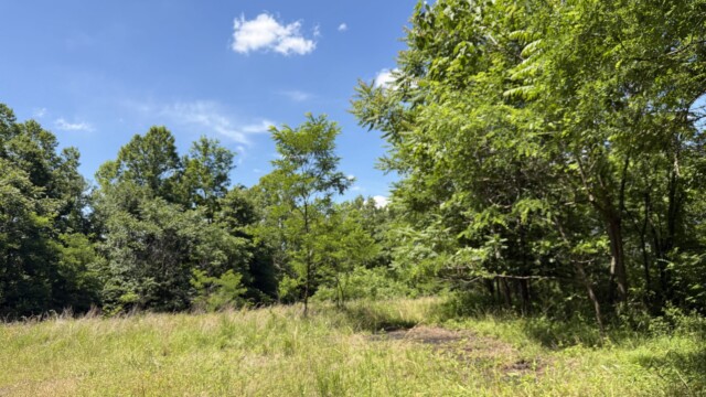 Recreational Tract