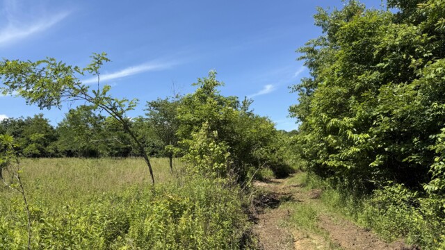 Recreational Tract