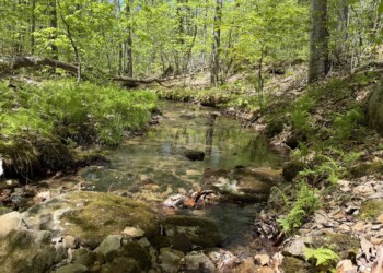Creek between Tracts 16 and 17