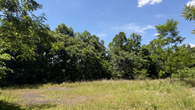 Recreational Tract