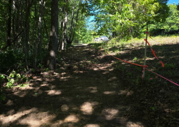 New walking trail opened up to the waterfall on Tract 17.