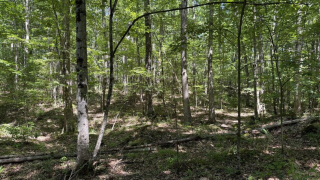 Recreational Tract
