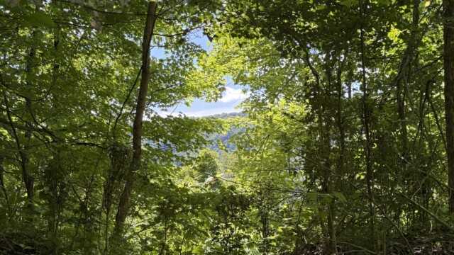 Recreational Tract