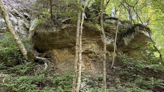 Recreational Tract