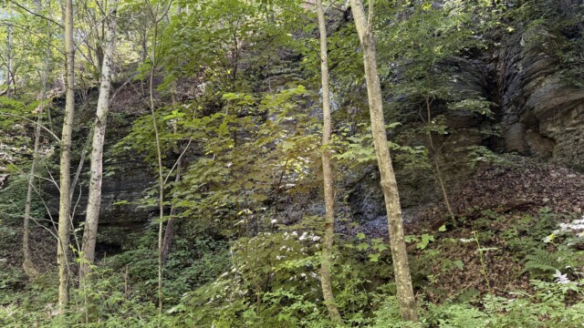 Recreational Tract