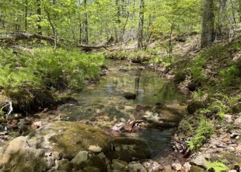 Creek between Tracts 16 and 17