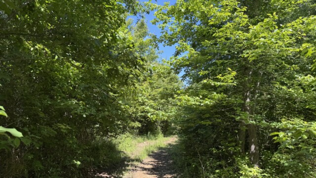 Recreational Tract