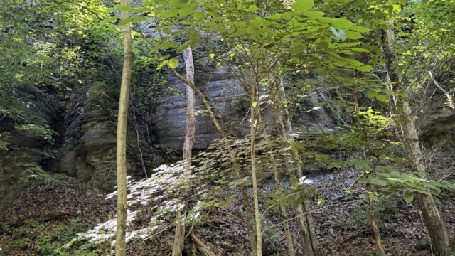 Recreational Tract