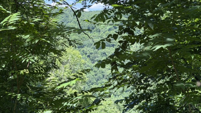 Recreational Tract