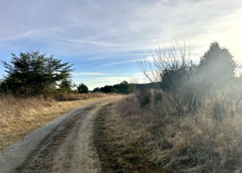 Tract 9