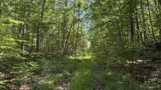 Recreational Tract