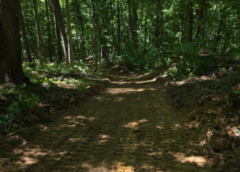 New walking trail opened up to the waterfall on Tract 17.