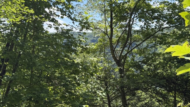 Recreational Tract