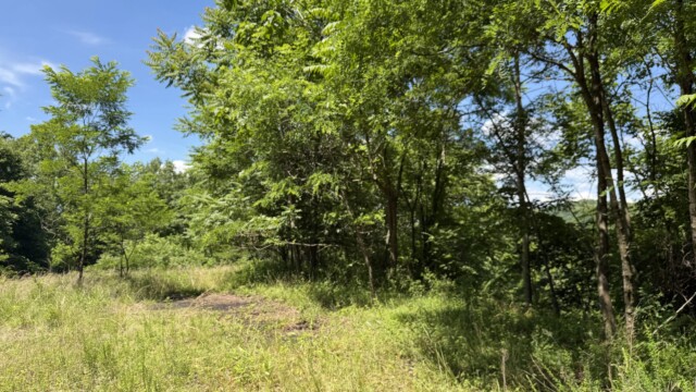 Recreational Tract