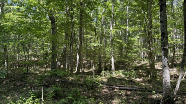 Recreational Tract
