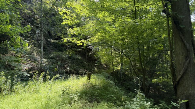 Recreational Tract