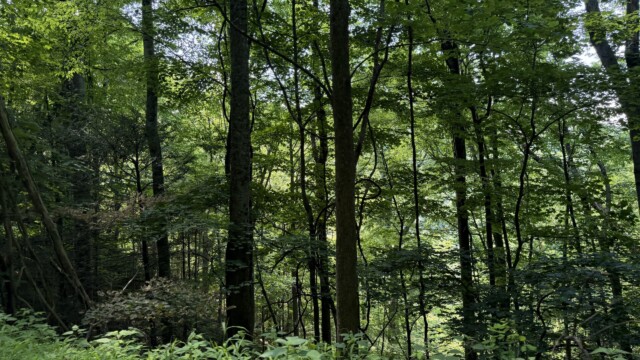 Recreational Tract