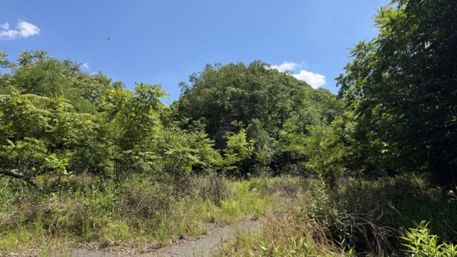 Recreational Tract