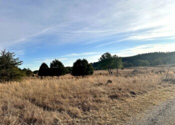 Tract 9
