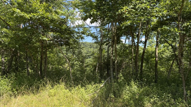 Recreational Tract