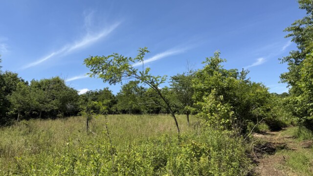 Recreational Tract