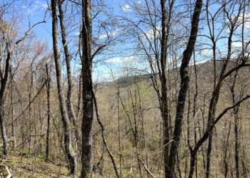 Tract 12 - Looking at Tracts 13 and 14