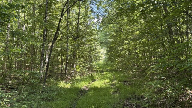 Recreational Tract