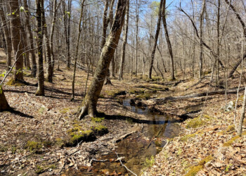 Creek Between Tracts 16 and 17