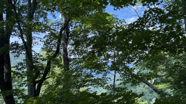 Recreational Tract