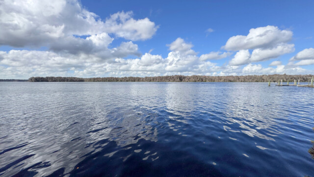 Minutes from the Saint Johns River