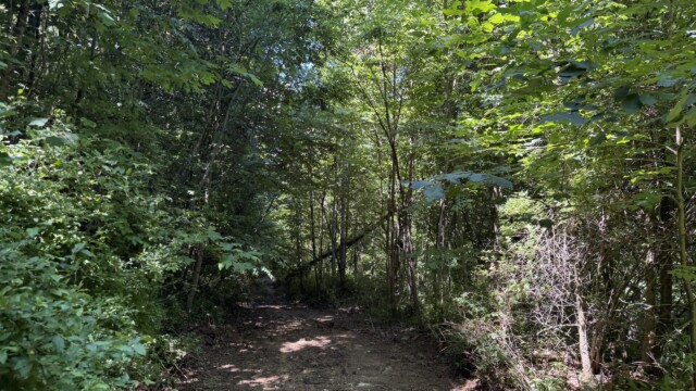 Recreational Tract