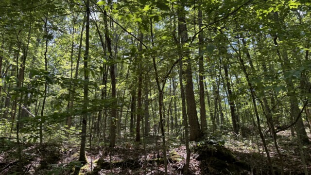 Recreational Tract