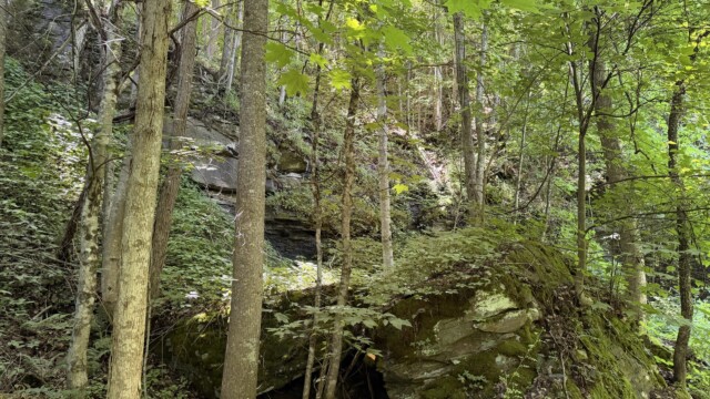 Recreational Tract
