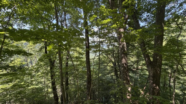 Recreational Tract